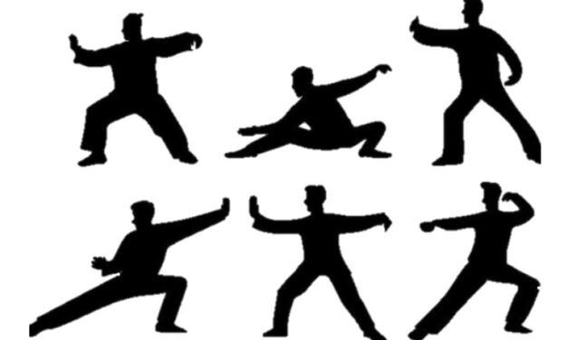 Qigong og Taiji: Spennende ny trening