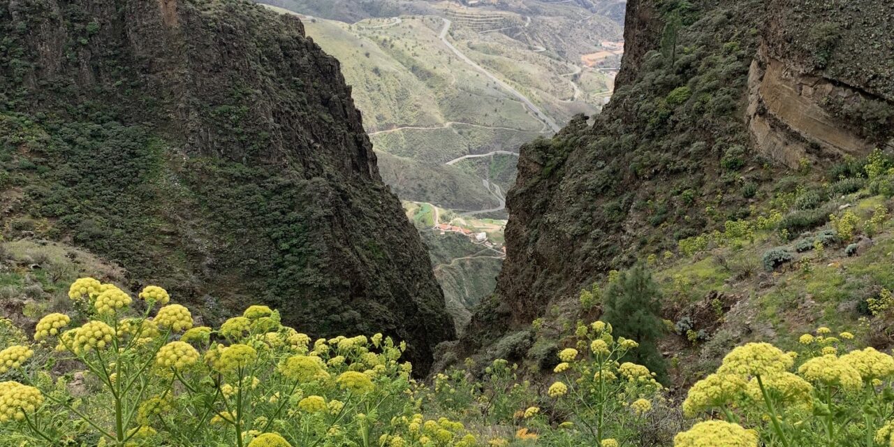 Påmelding Mandagstur -Artenara – Teror 10. november