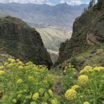 Påmelding Mandagstur -Artenara – Teror 10. november