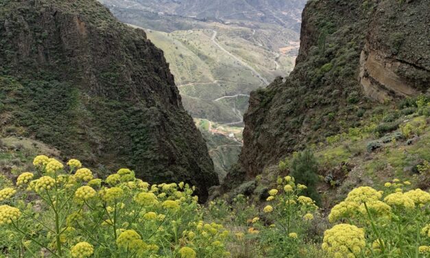 Påmelding Mandagstur -Artenara – Terror 10. november