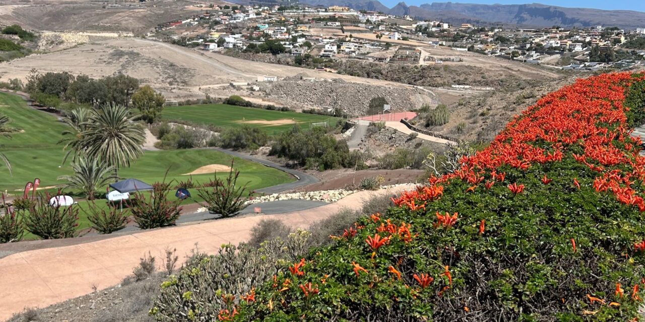 Mandagstur – Arguineguin – Meloneras 8.12.