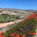 Mandagstur – Arguineguin – Meloneras 8.12.