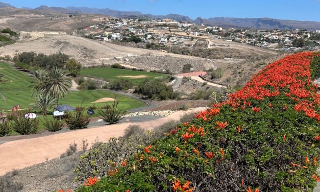 Mandagstur – Arguineguin – Meloneras 8.12.