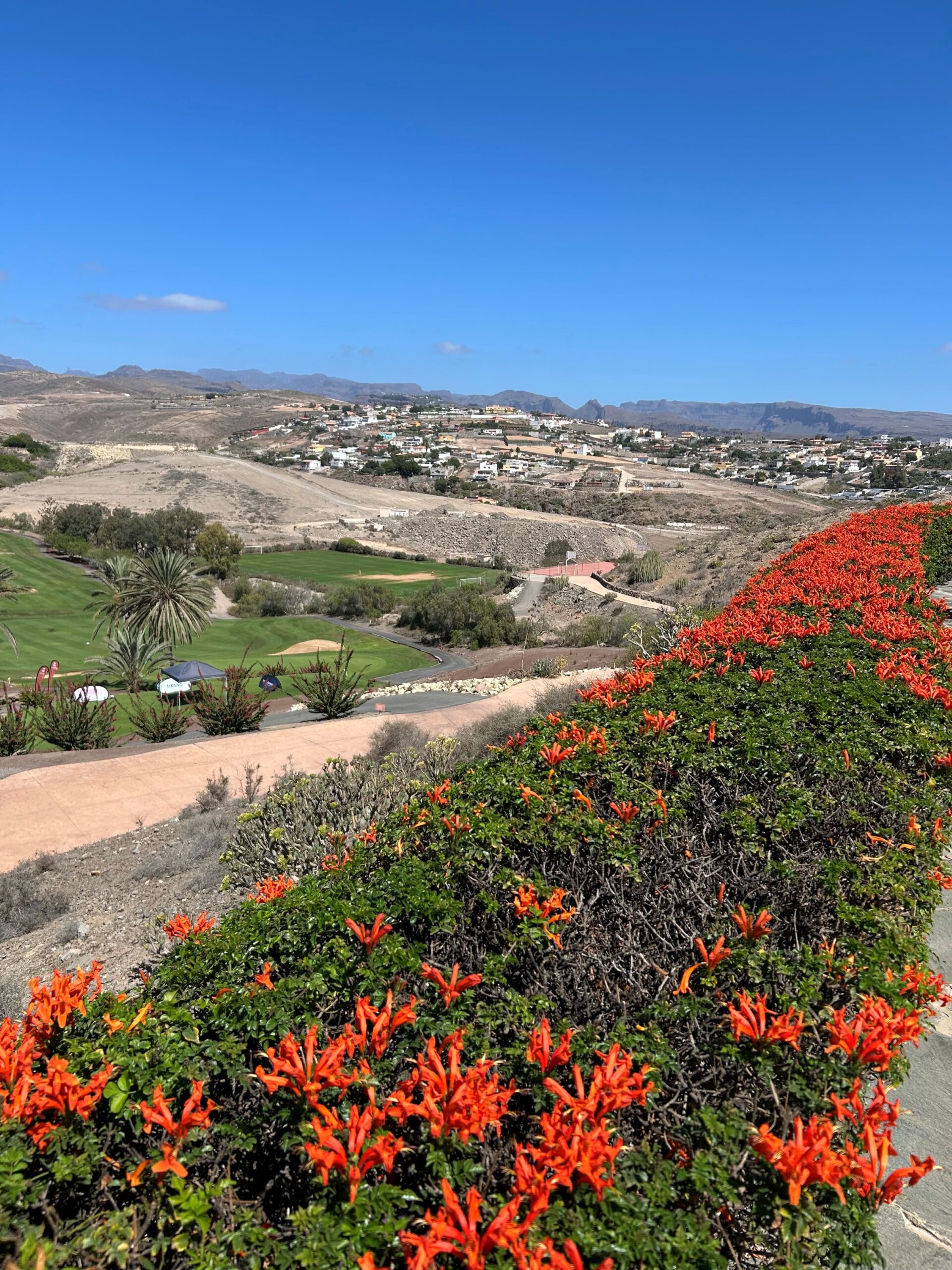 Mandagstur – Arguineguin – Meloneras 8.12.