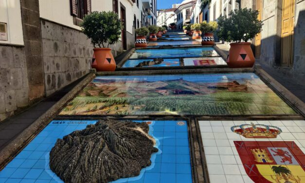 Påmelding mandagstur: Rundtur i Firgasområdet  2. mars